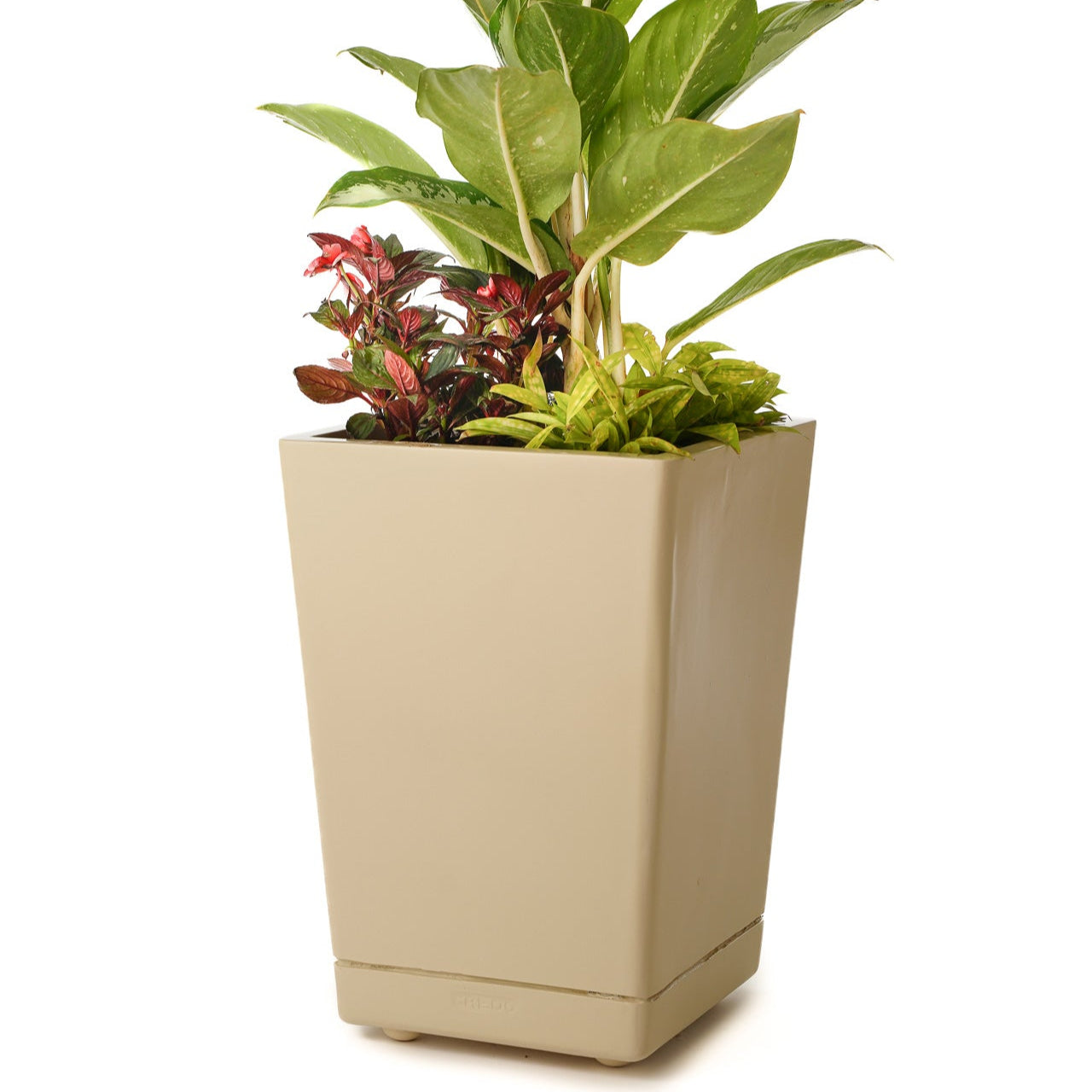 Ter Dex - Self Watering Planter