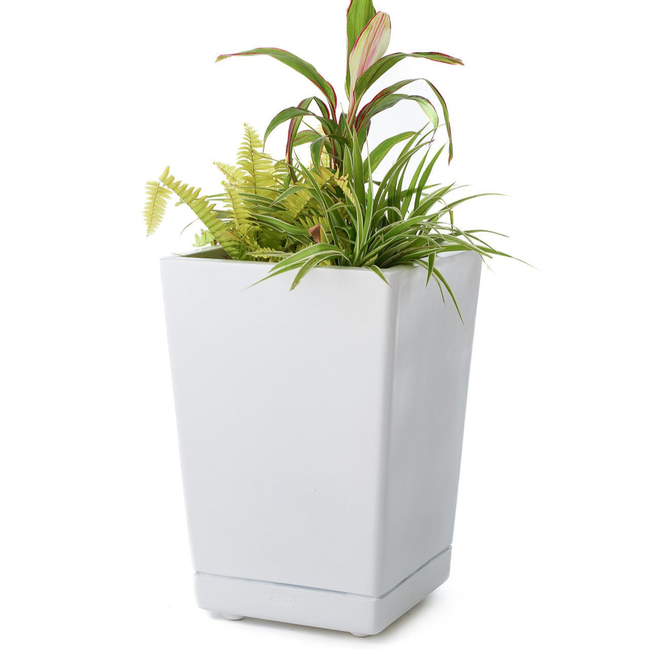 Ter Dex - Self Watering Planter