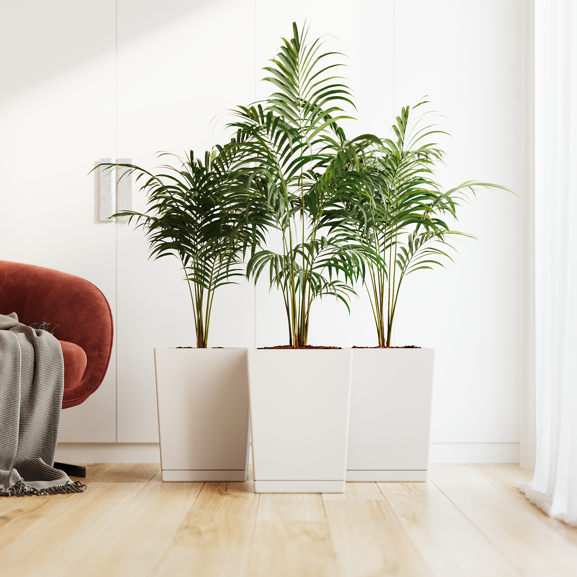 Ter Dex - Self Watering Planter