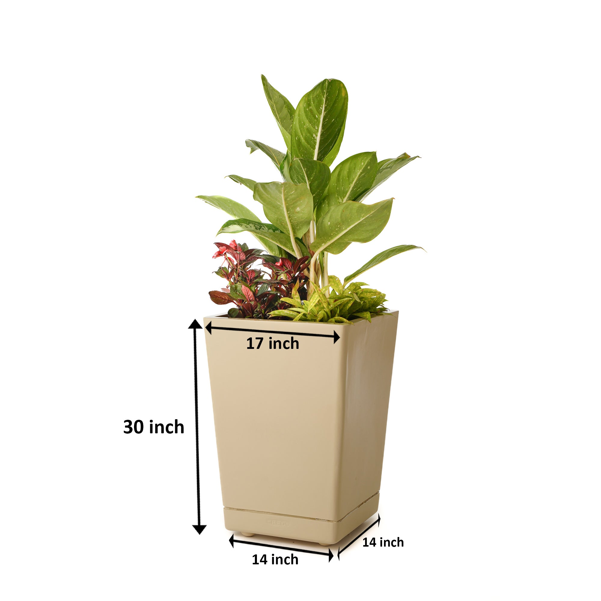 Ter Dex - Self Watering Planter