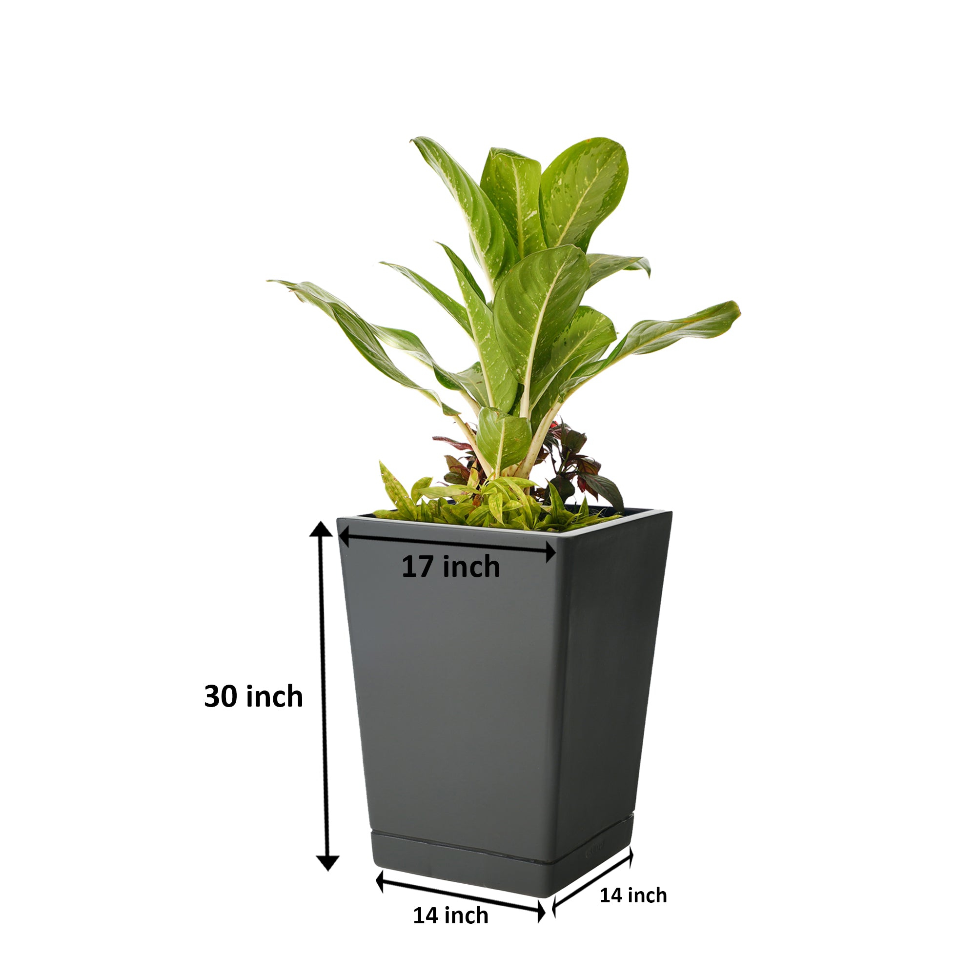 Ter Dex - Self Watering Planter