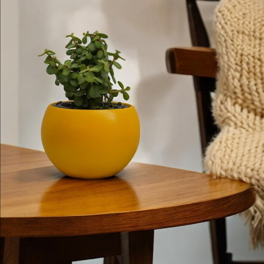Rou Compe Table Top