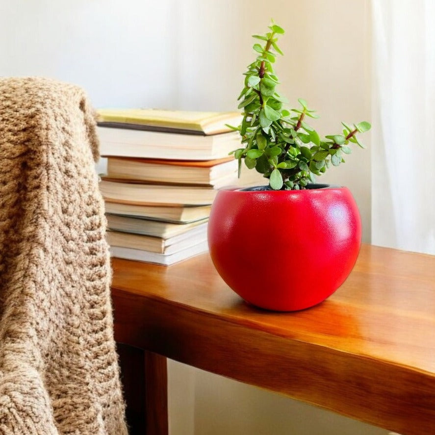 Rou Compe Table Top