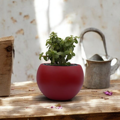 Rou Compe Table Top