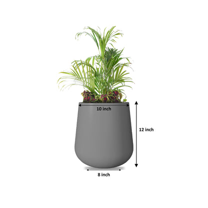 Nov Exp Self Watering Planter
