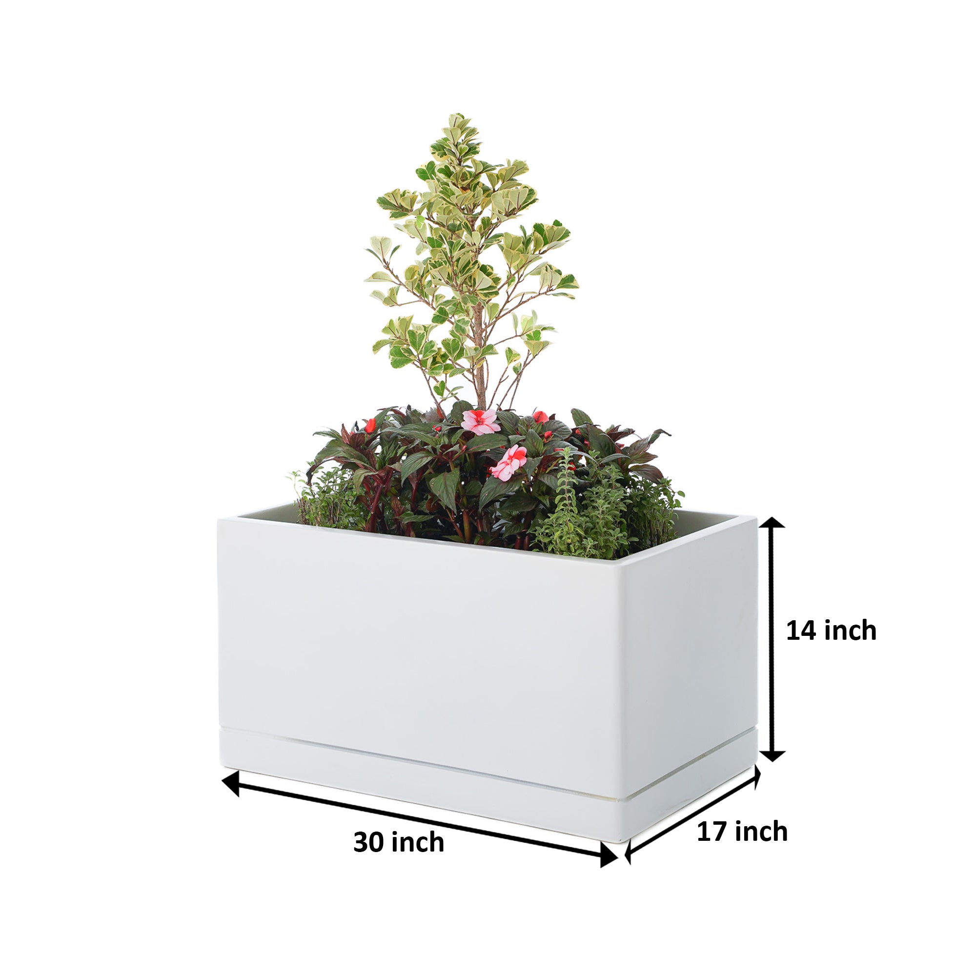 Cav Sli - Self Watering Planter